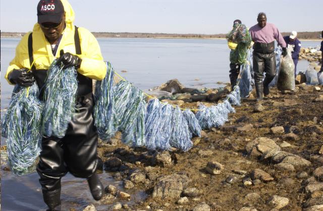Rental store for Oil Snare On A Rope, 30 Snares 50  Rope in Boston MA