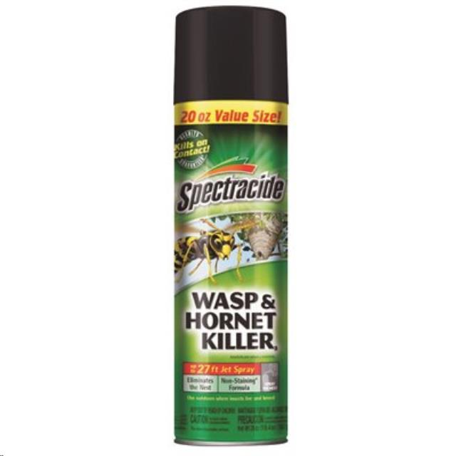 Rental store for 20 oz. Wasp and Hornet Aerosol Spray in Boston MA