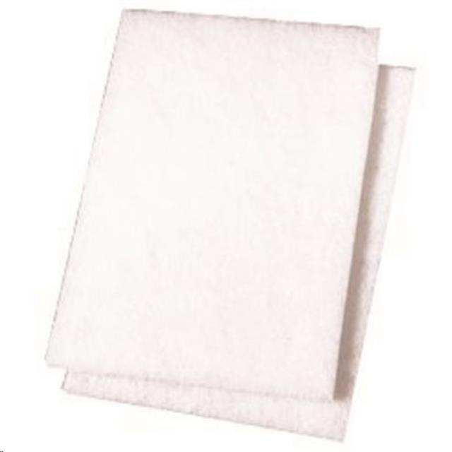 Rental store for 20 pk Renown White Light-Duty Scour Pad in Boston MA